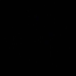 Meet your Posher, Ahuva